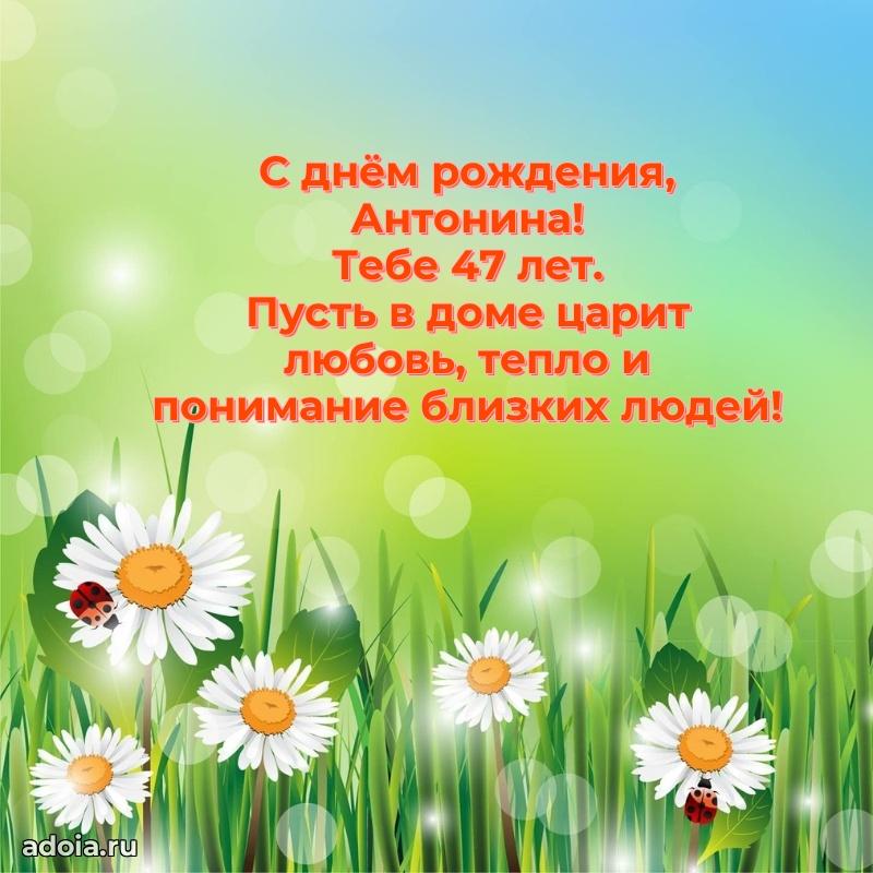 Современная открытка поздравление Антонине с Днем Рождения на 47 лет