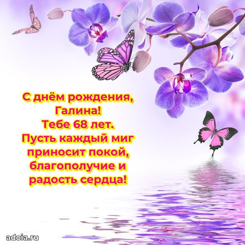 Скачать гифку Галине 68 лет бесплатно