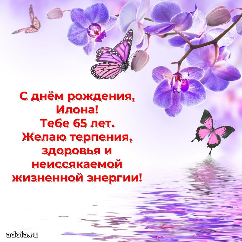 Открытка с Днем Рождения Илоне 65 лет