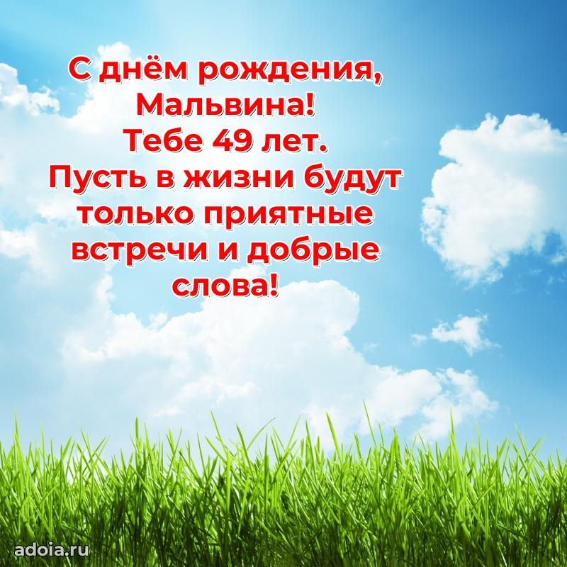 Открытка с Днем Рождения Мальвине 49 лет