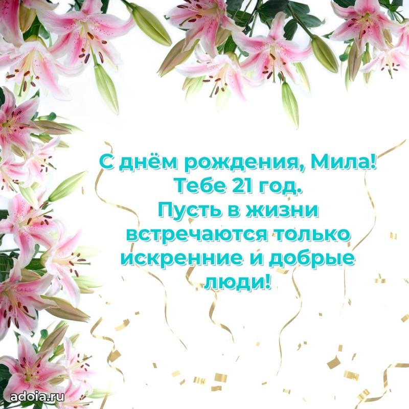 Скачать гифку Миле 21 год бесплатно