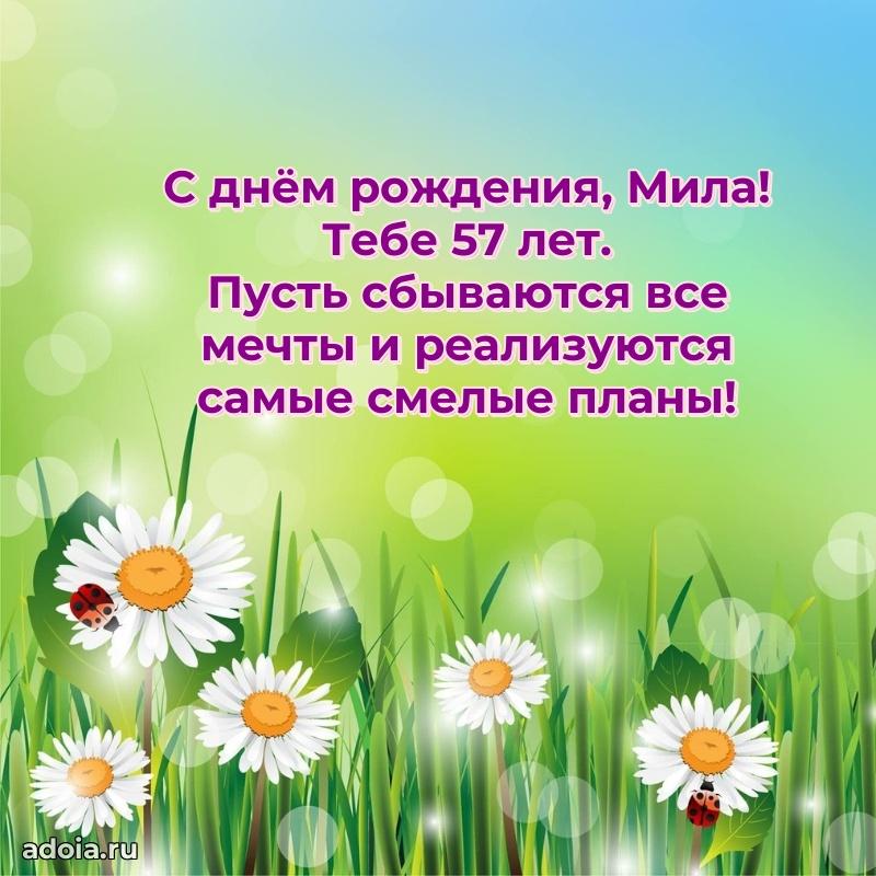 Современная открытка поздравление Миле с Днем Рождения на 57 лет