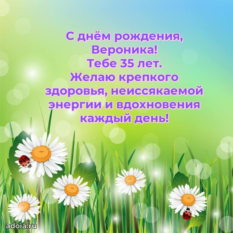 Картинка с юбилеем Веронике 35 лет прикольная