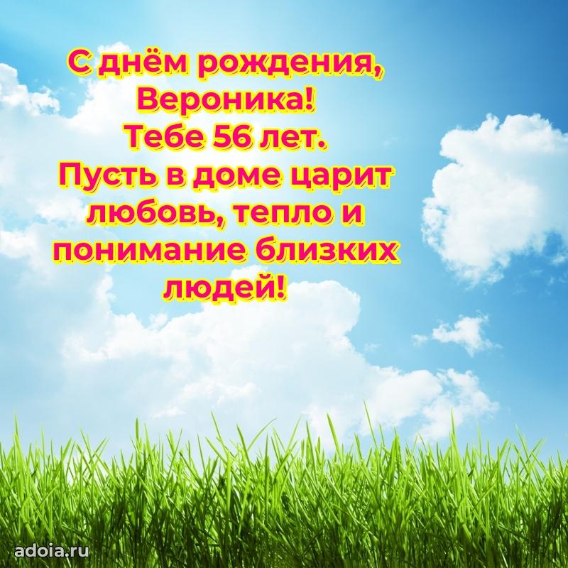 Картинка с юбилеем Веронике 56 лет прикольная