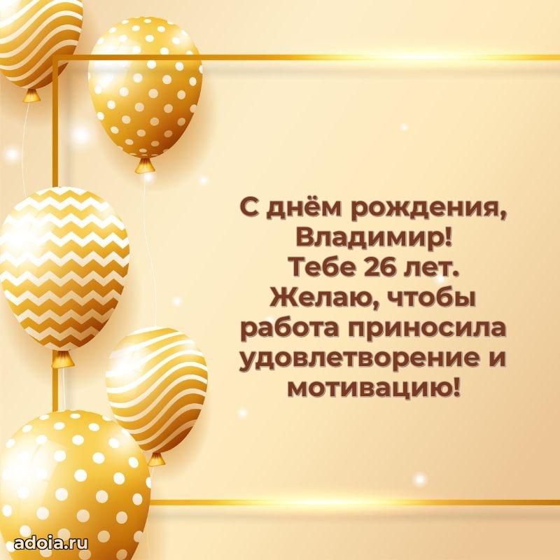 Владимиру 26 лет