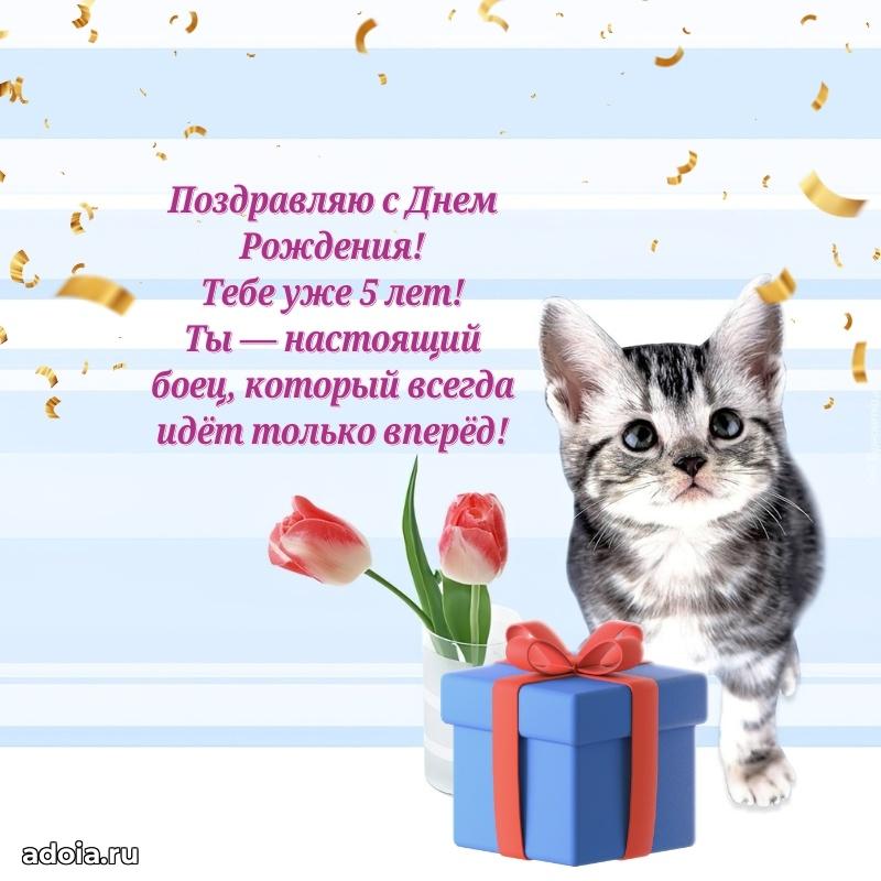 Веселая открытка мальчику 5 лет