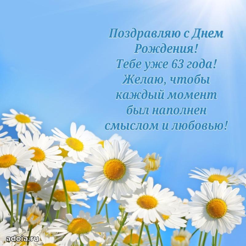 Новые прикольные открытки брату 63 года