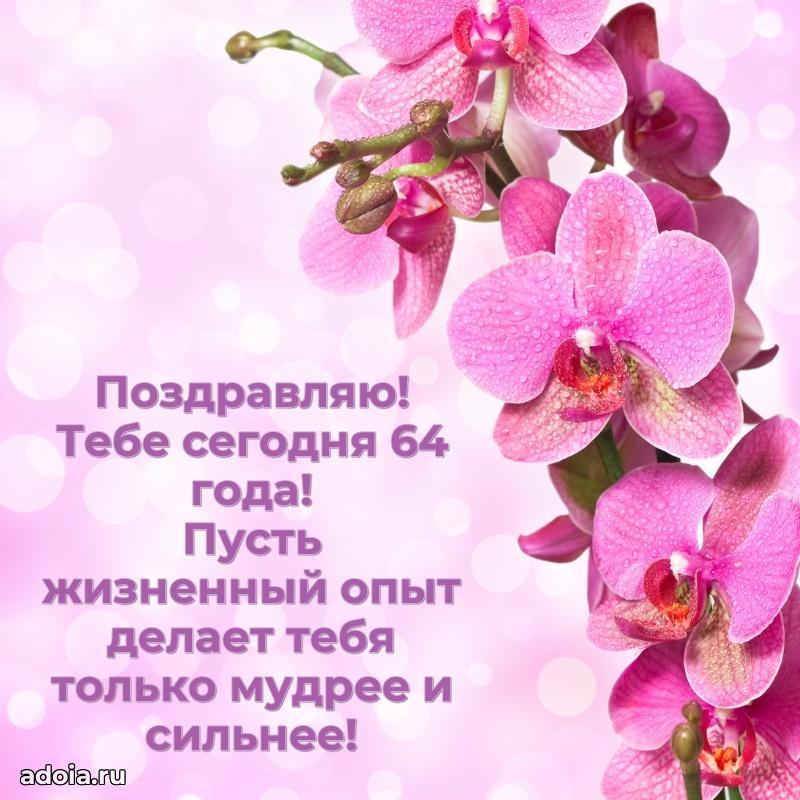 Скачать современные открытки племяннице 64 года бесплатно