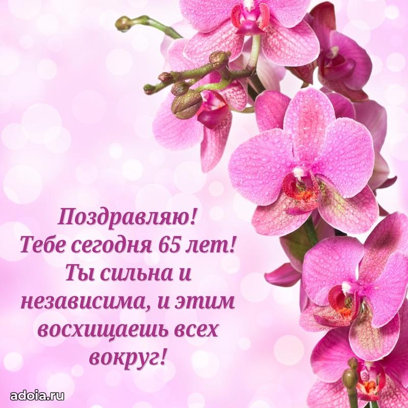 Прикольные бесплатные картинки с днем рождения дочери 65 лет