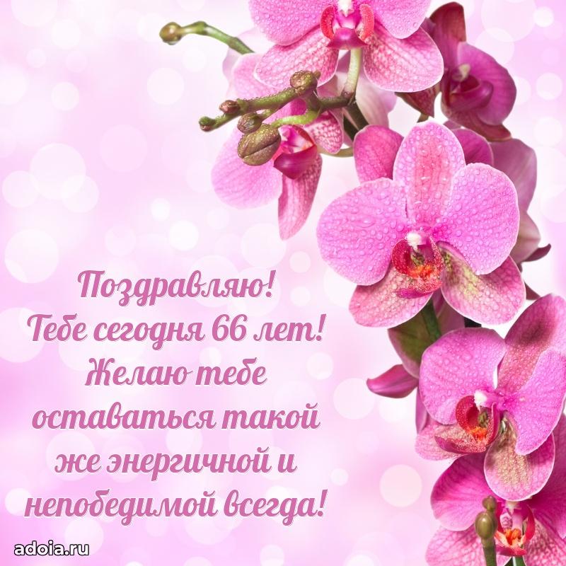 Красивые современные открытки подруге 66 лет для ватсапа