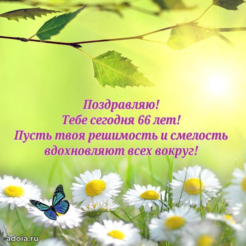 Прикольные картинки и поздравления близкому человеку 66 лет