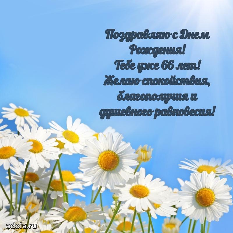 Мерцающие прикольные открытки мужу 66 лет