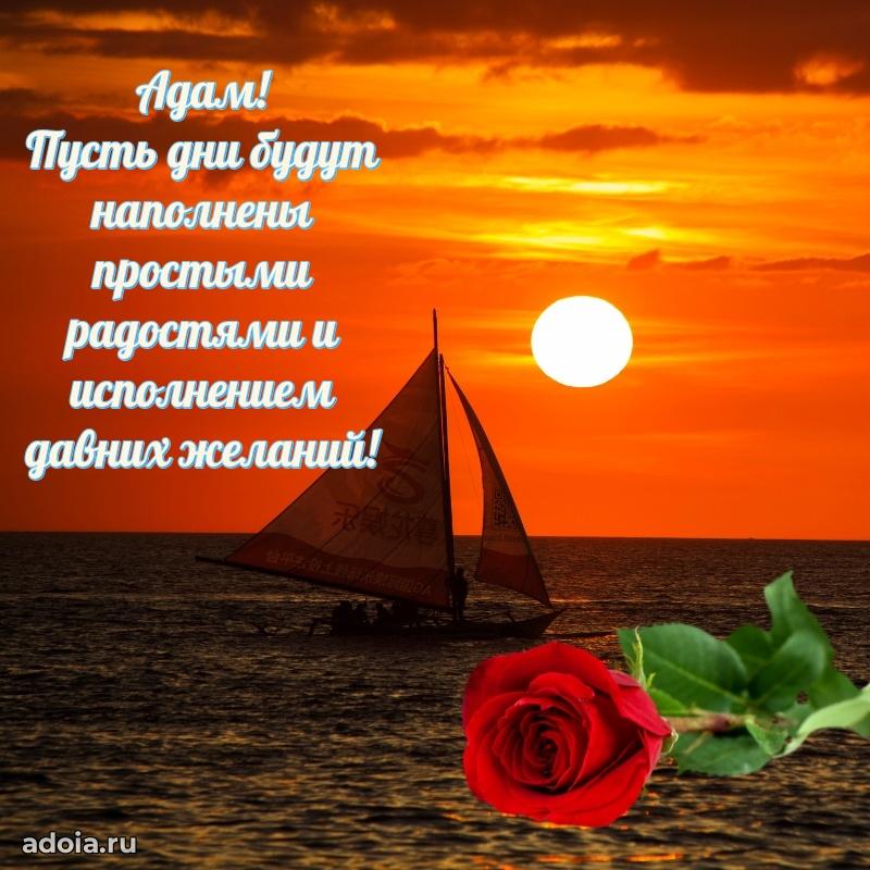 Картинка коллеге Адаму