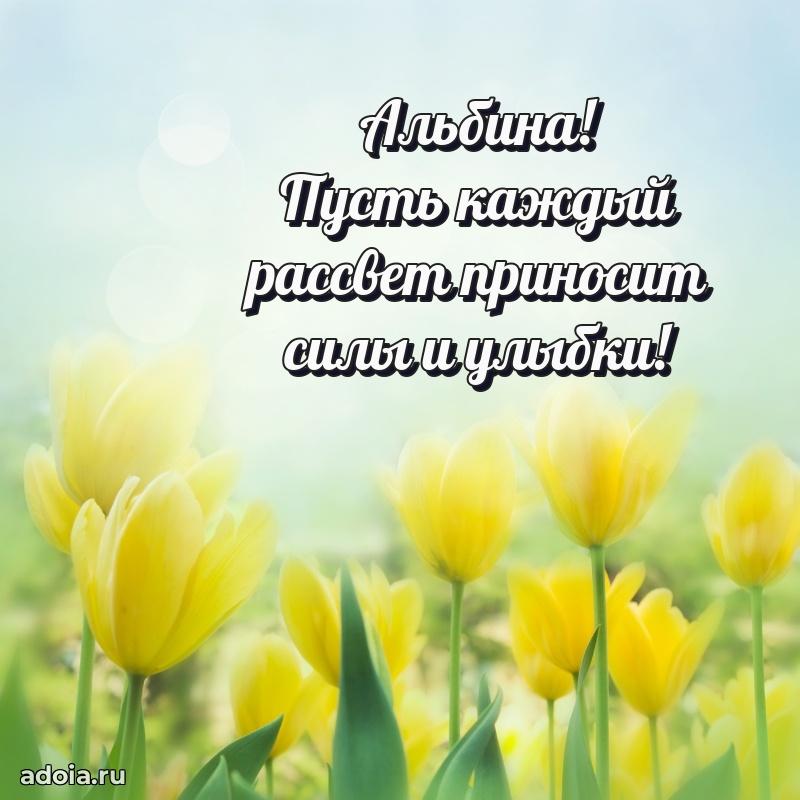 Открытка для ватсап с днем рождения Альбине