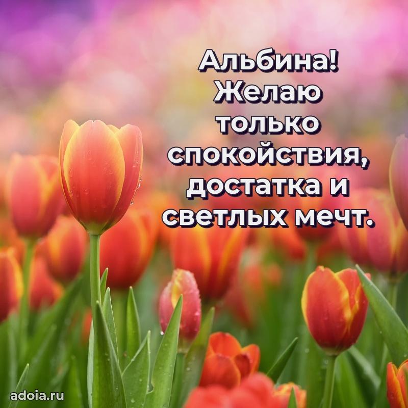 Поздравление Альбине праздничные своими словами в прозе