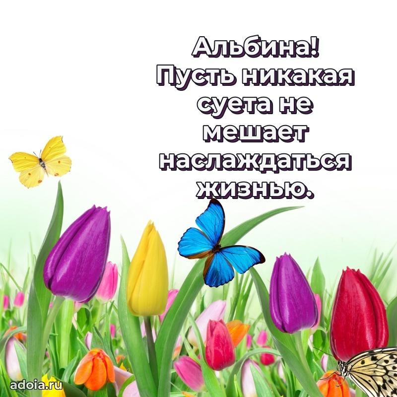 Открытка Альбине праздничная