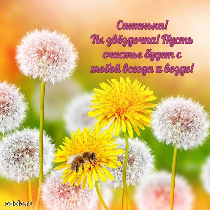 Открытка для ватсап с днем рождения Александре