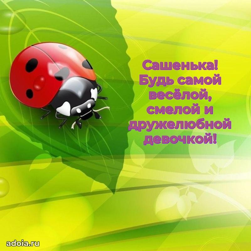 Мерцающая картинка Александре с днем рождения