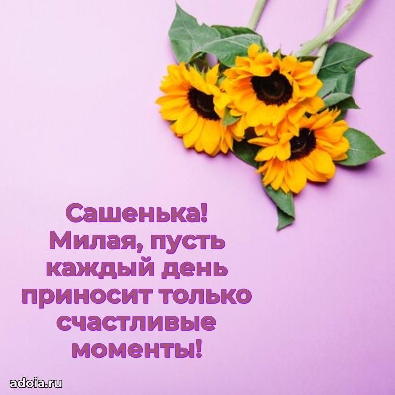 Открытка с пожеланиями Александре для ватсапа