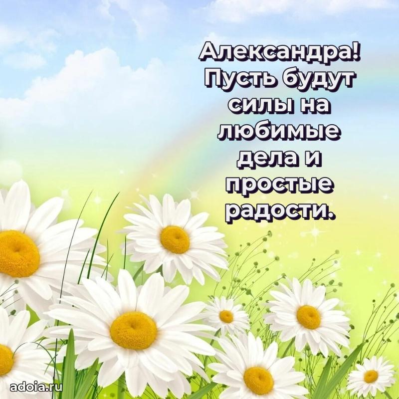 Поздравление Александре праздничные своими словами в прозе