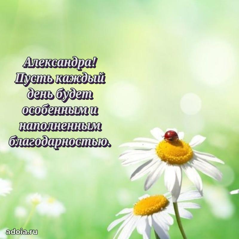 Бесплатная открытка тете