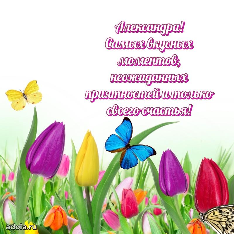 Открытка с пожеланиями Александре для ватсапа