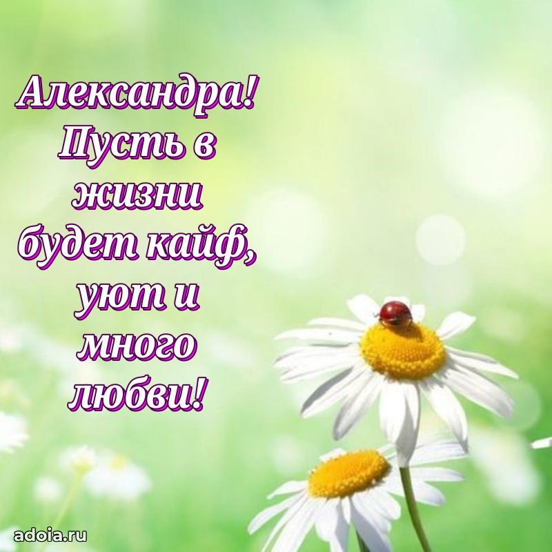 Картинка дочери Александре