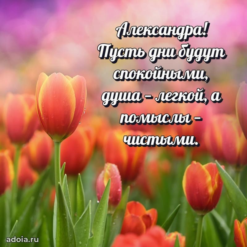 Открытка с пожеланиями Александре для ватсапа
