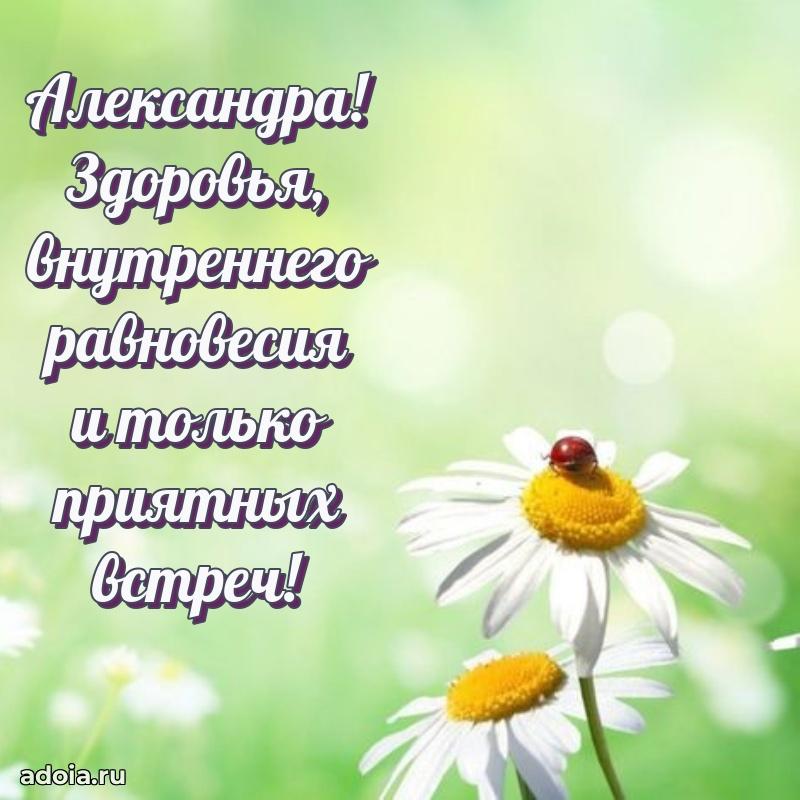 Открытка Александре праздничная