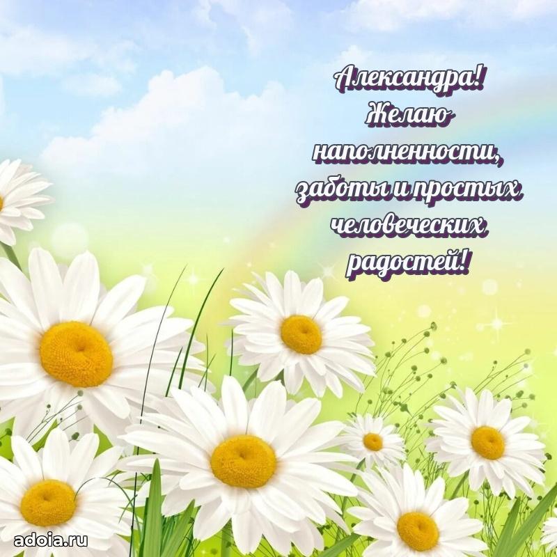 Яркая гифка Александре с днем рождения