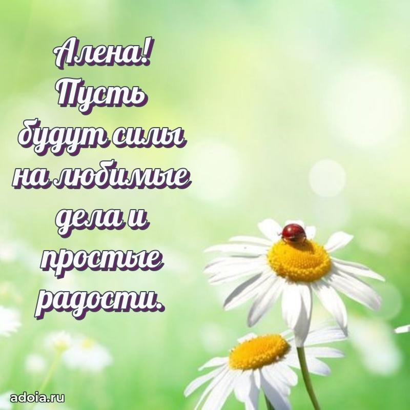 Пожелания маме Алене