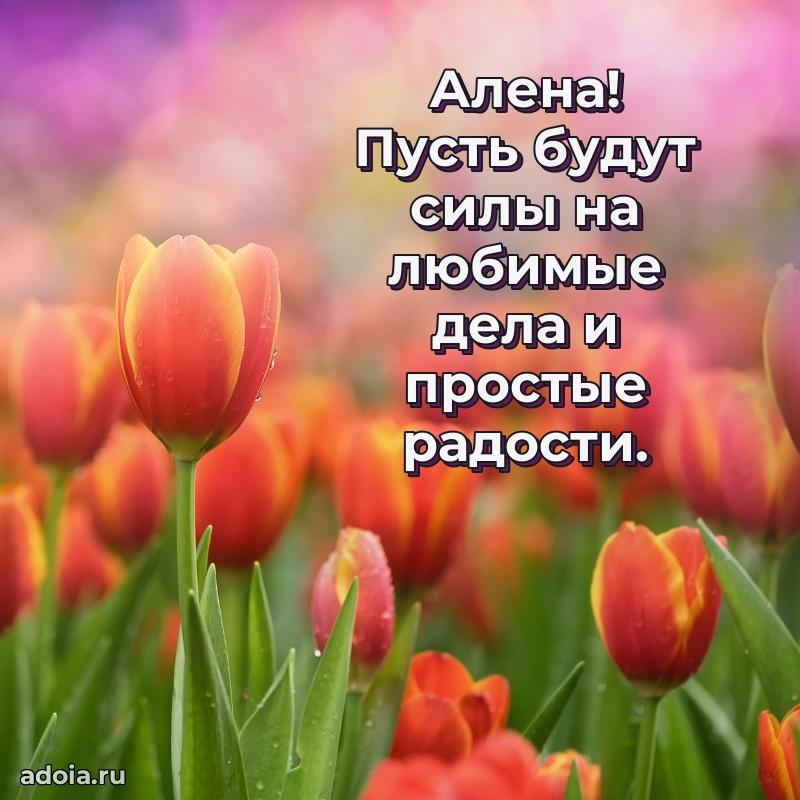 Современная открытка любовнице