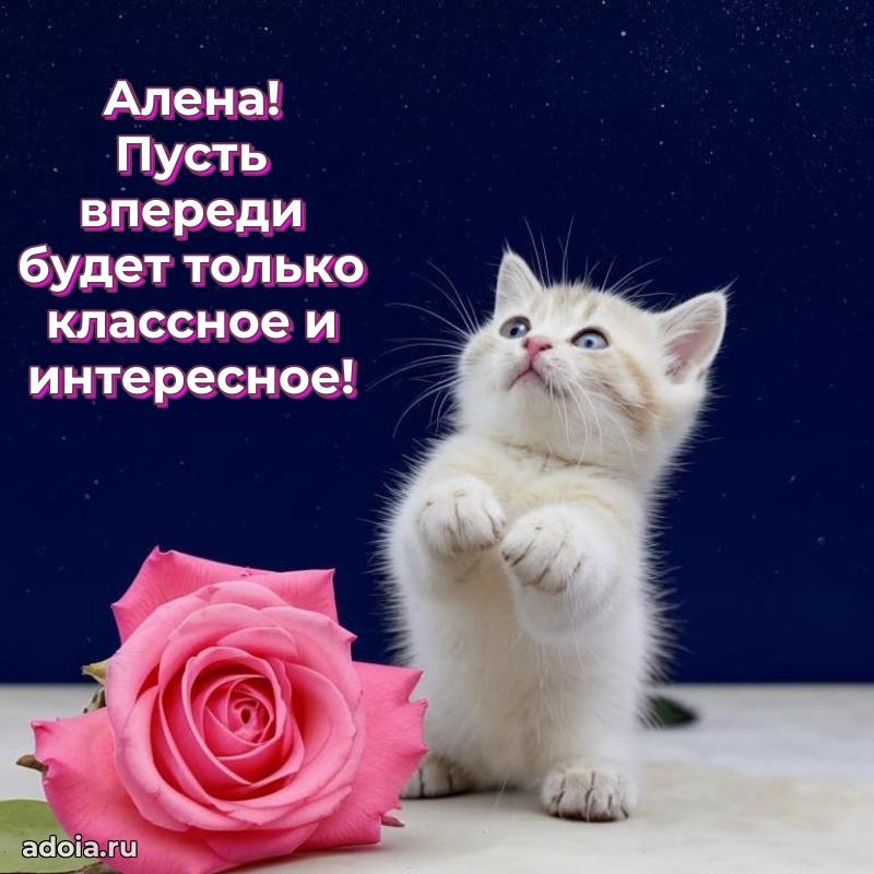 Картинка дочери Алене