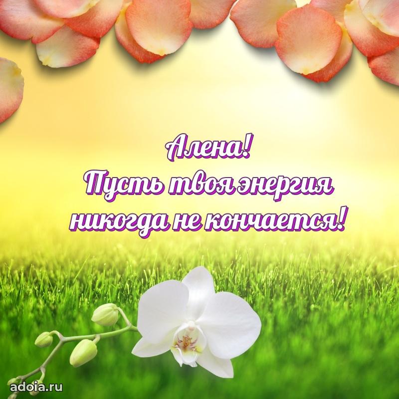 Пожелания маме Алене