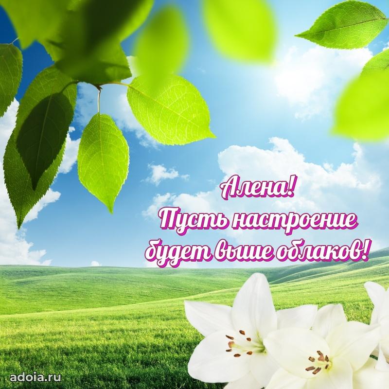 Яркая гифка Алене с днем рождения