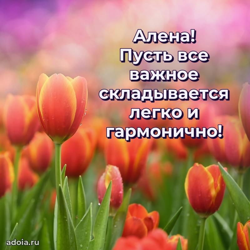 Смешная открытка для ватсап с днем рождения Алене