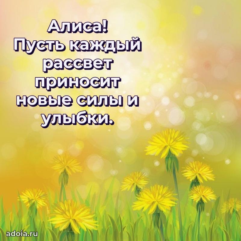 Поздравление Алисе праздничные своими словами в прозе