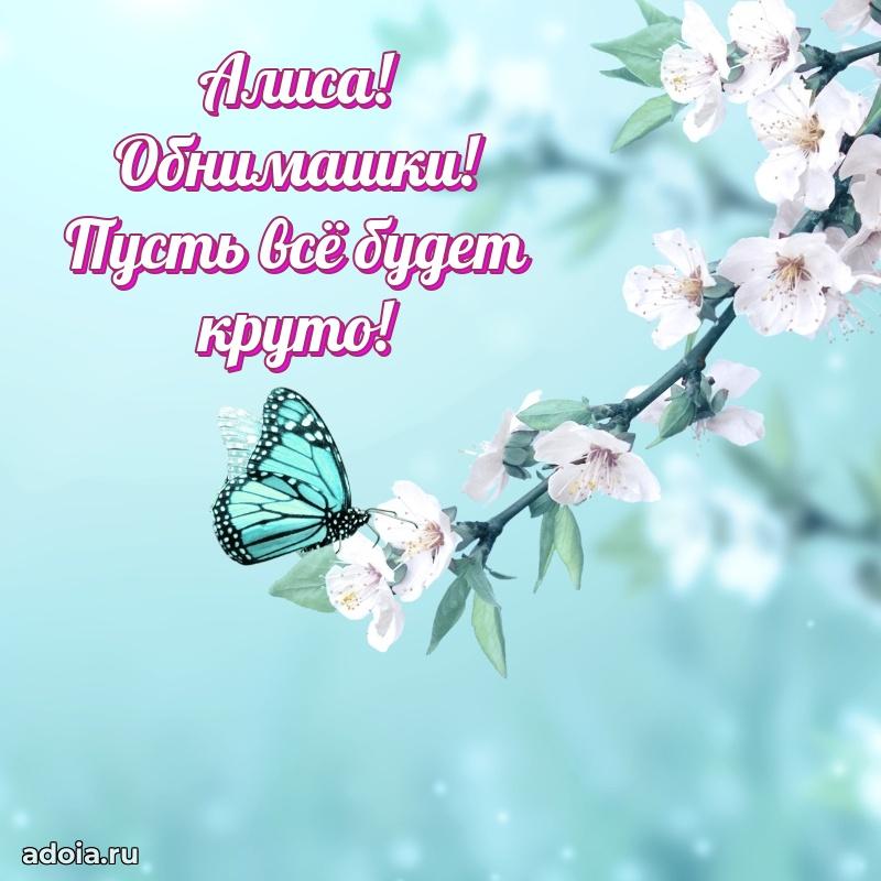 Поздравление с днем рождения девушке