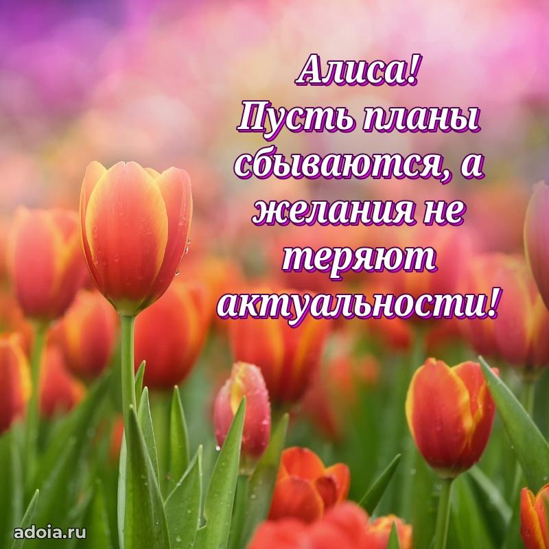 Поздравление Алисе праздничные своими словами в прозе