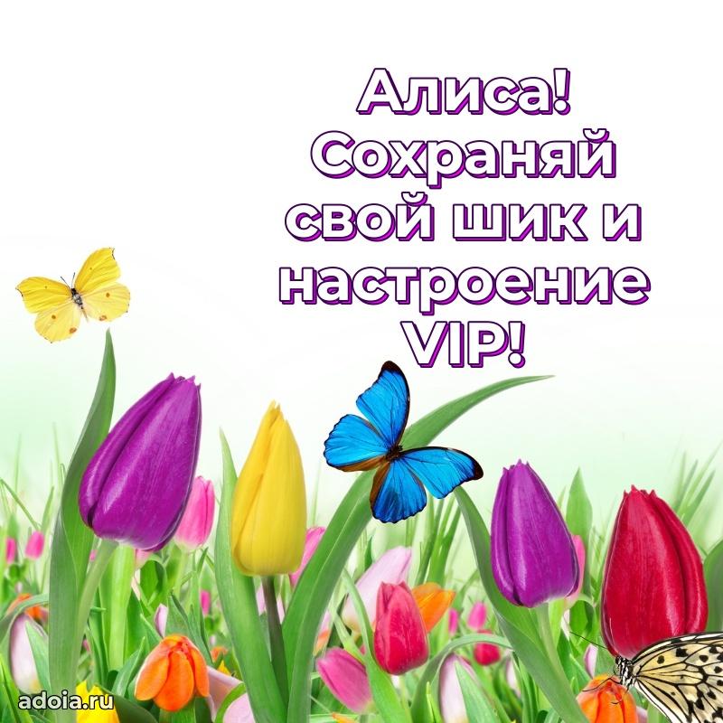 Поздравить подругу с др Алисе