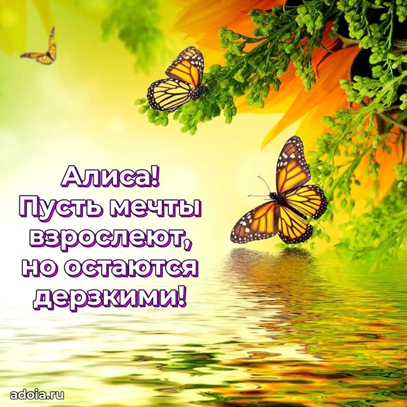 Смешная открытка для ватсап с днем рождения Алисе
