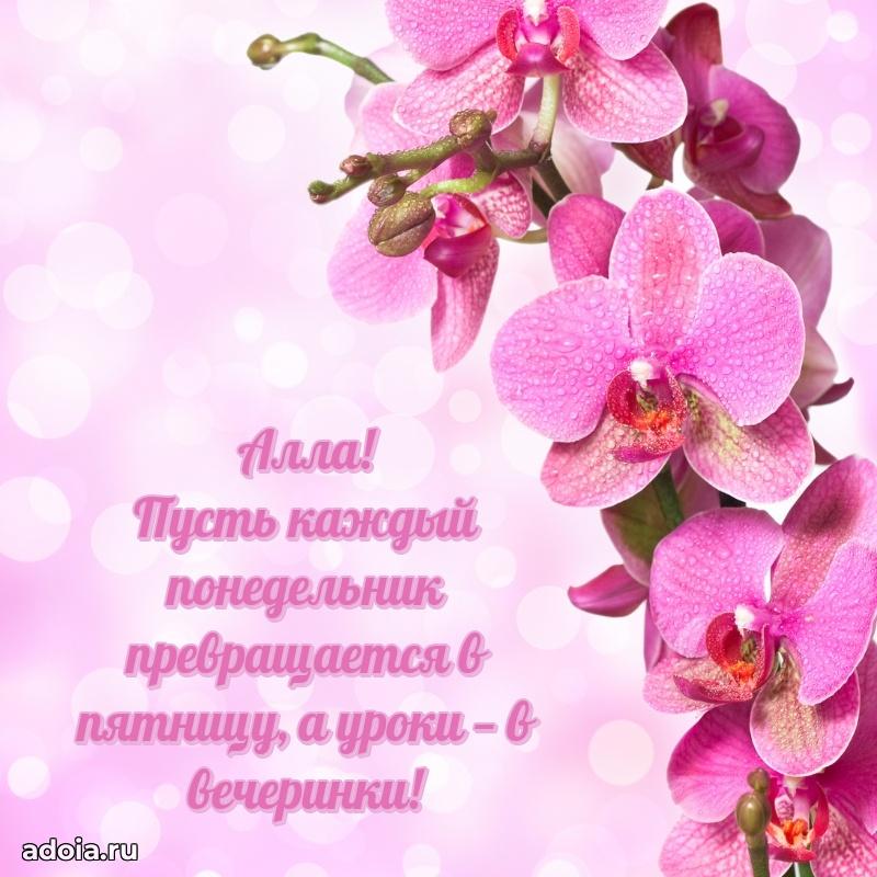 Яркая гифка Алле с днем рождения