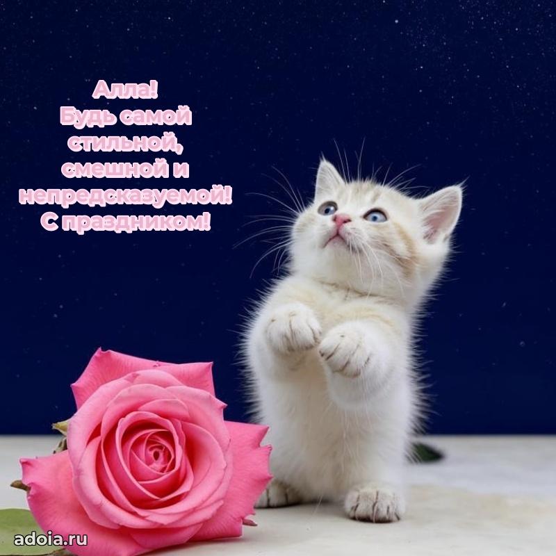 Открытка Алле праздничная