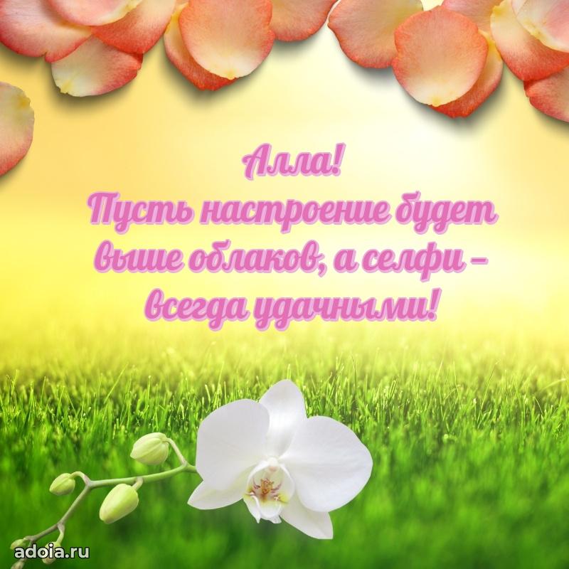 Яркая гифка Алле с днем рождения