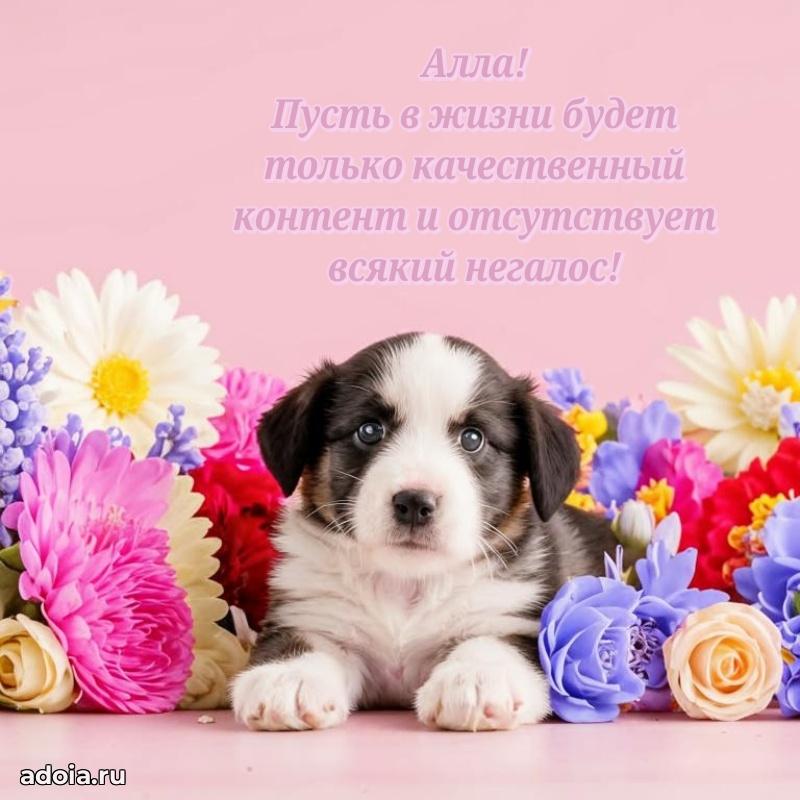 Поздравление с днем рождения девушке