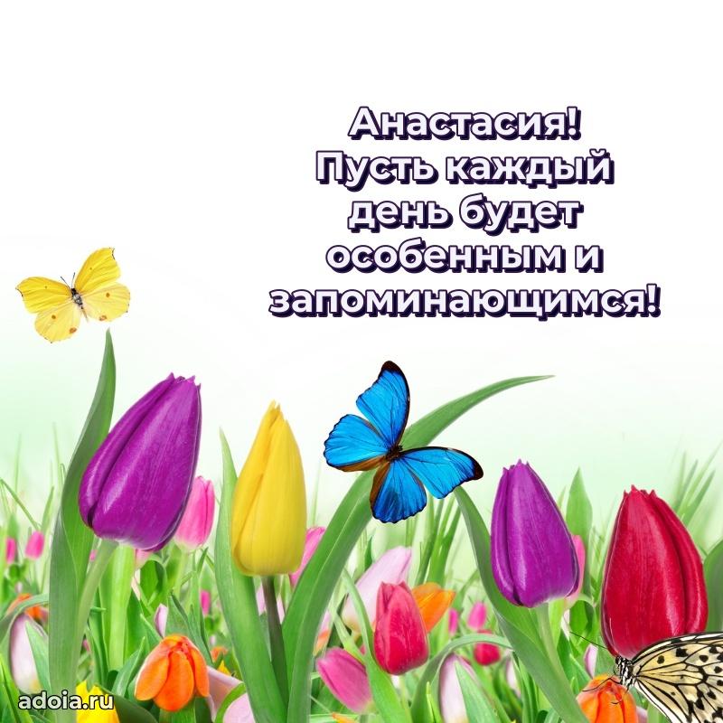 Открытка для ватсап с днем рождения Анастасии