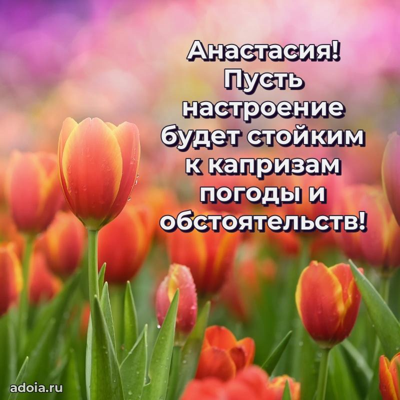 Мерцающая картинка Анастасии с днем рождения