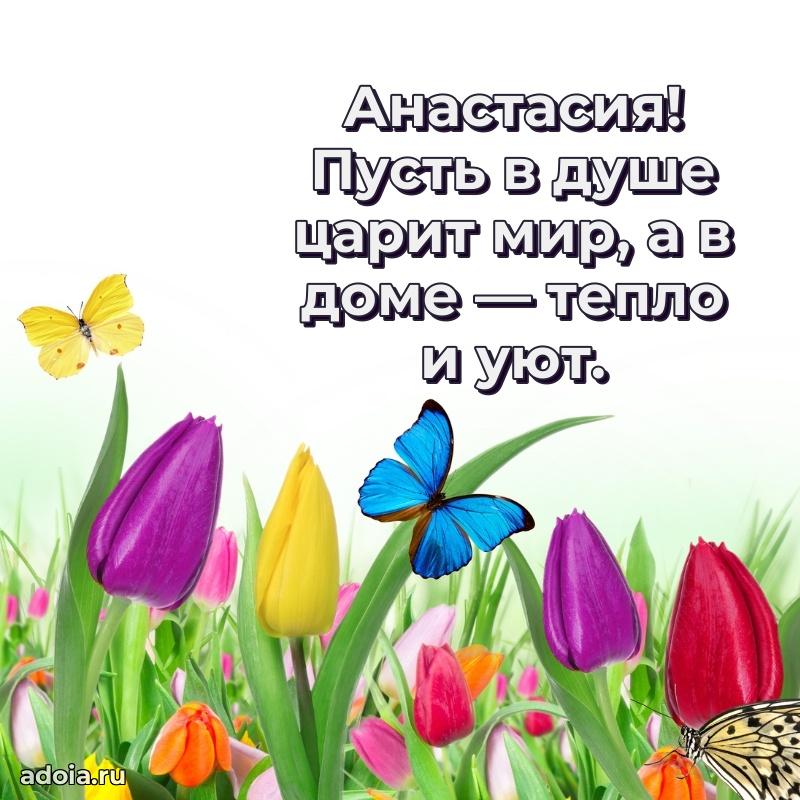 Открытка для ватсап с днем рождения Анастасии