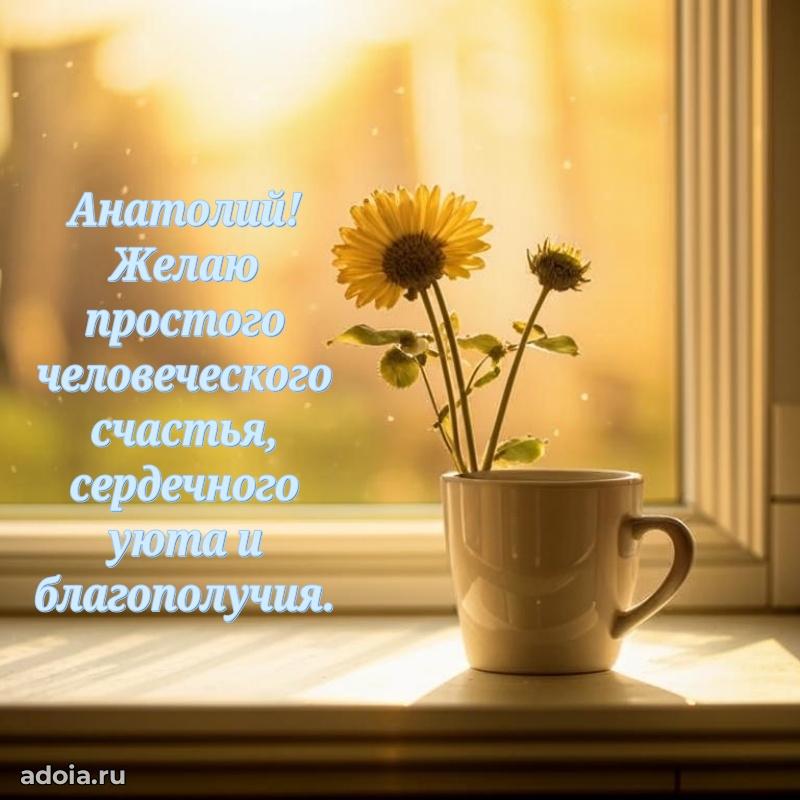 Открытка Анатолию праздничная