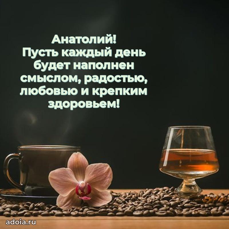 Поздравление парню Анатолию